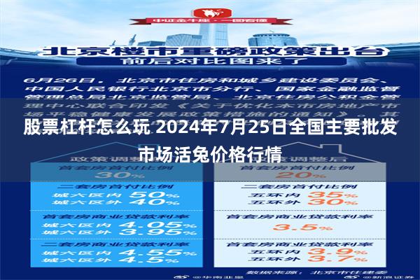 股票杠杆怎么玩 2024年7月25日全国主要批发市场活兔价格行情