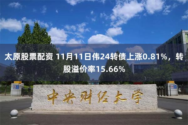 太原股票配资 11月11日伟24转债上涨0.81%，转股溢价率15.66%